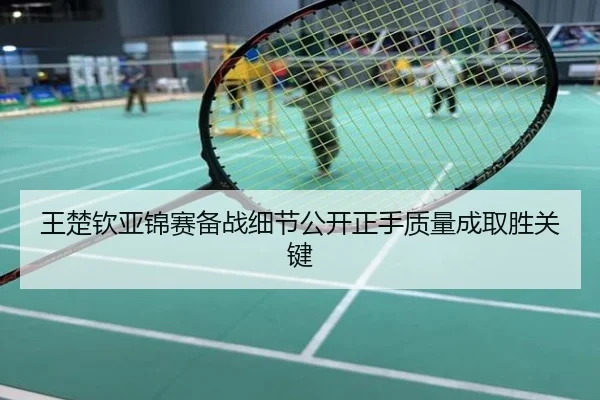 王楚钦亚锦赛备战细节公开正手质量成取胜关键