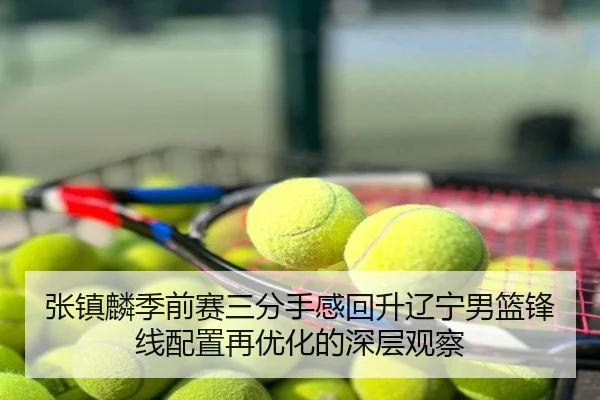 张镇麟季前赛三分手感回升辽宁男篮锋线配置再优化的深层观察